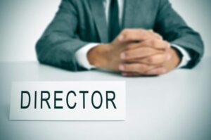 VAT on Director's Earnings