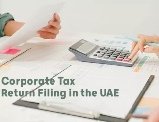 Corporate Tax Return Filing