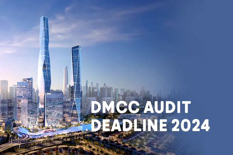 DMCC Audit Submission Deadline for 2024